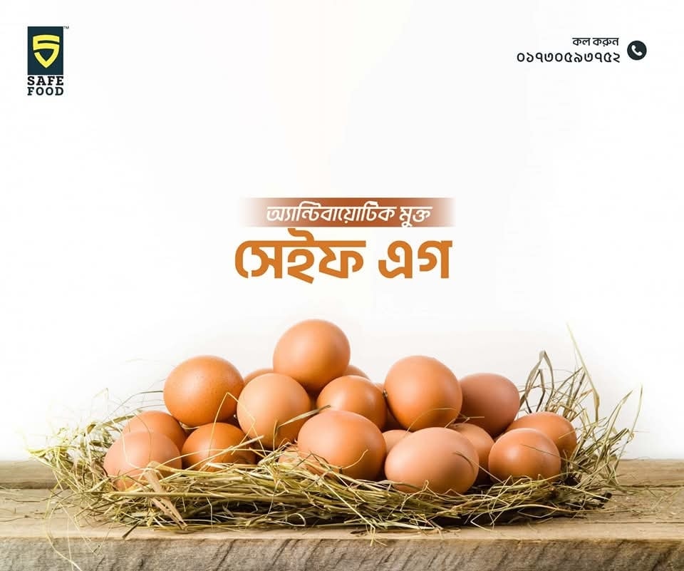 Safe egg (12 pcs) 1 dozen