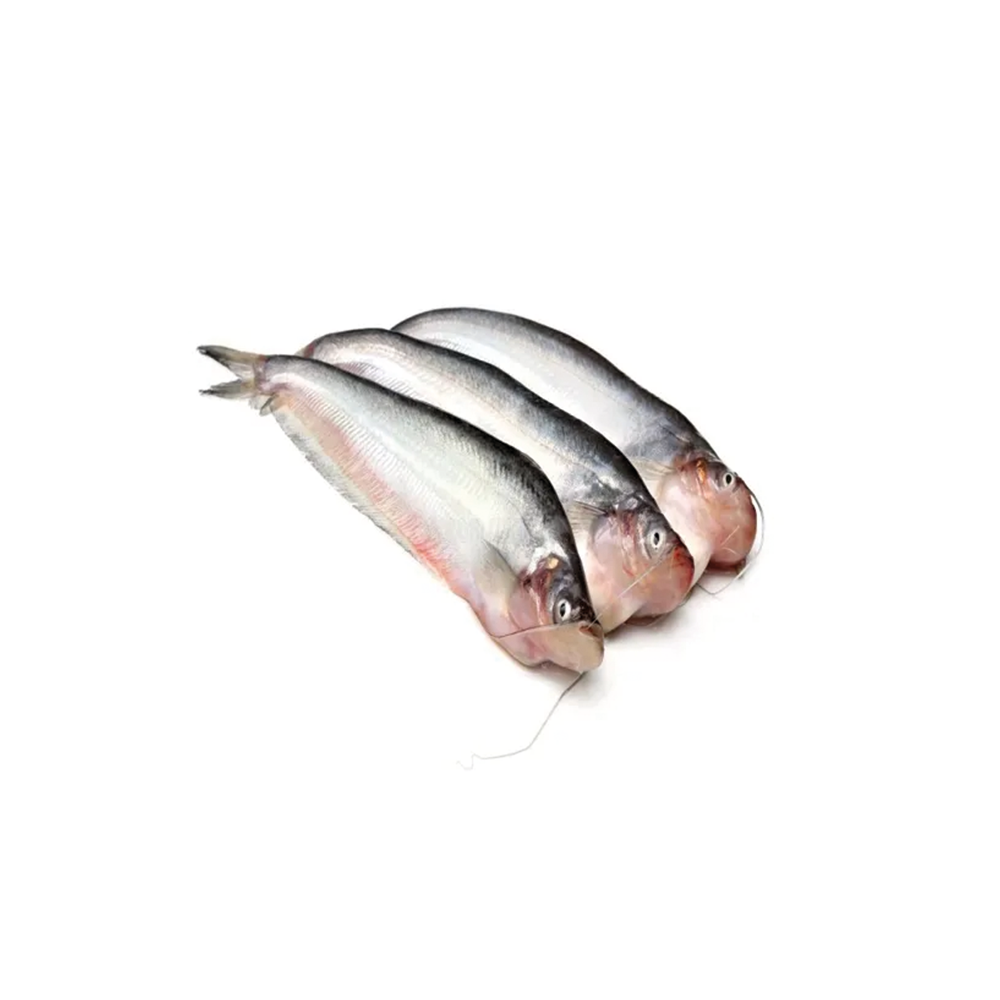 Pabda Fish Per Kg 1000 Taka