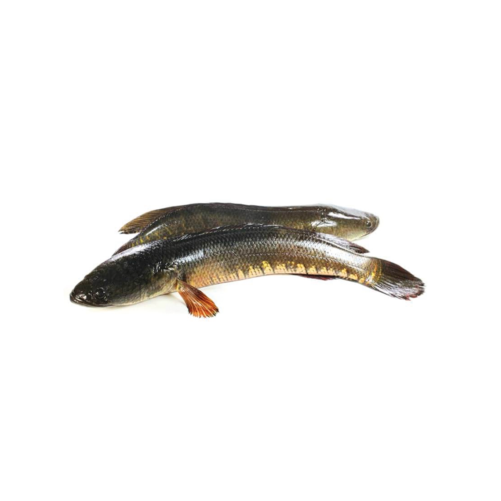 Shol Fish Per Kg 1200 Tk